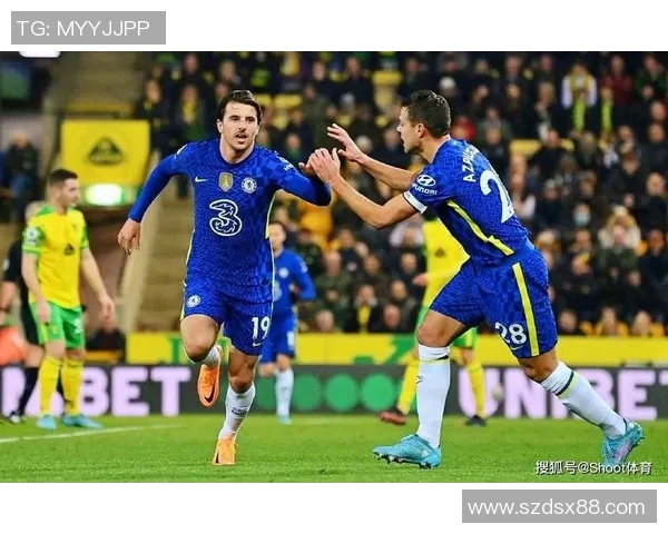 哈德斯与莱切对决前瞻分析及比赛结果预测探讨 哈德斯与莱切对决前瞻分析及比赛结果预测探讨