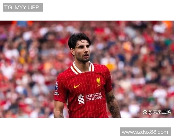 探索索博斯洛伊的历史与文化遗产及其对现代社会的影响 探索索博斯洛伊的历史与文化遗产及其对现代社会的影响